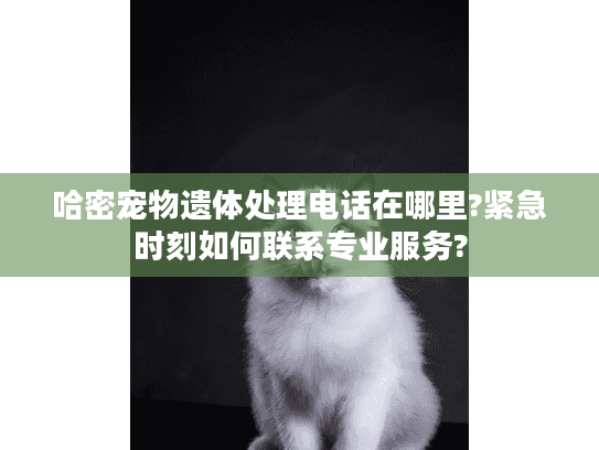 哈密宠物遗体处理电话在哪里?紧急时刻如何联系专业服务?
