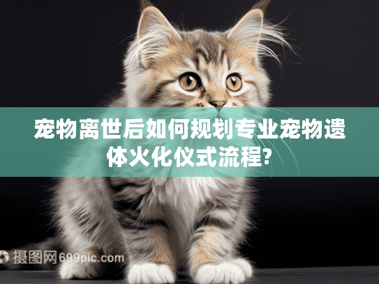 宠物离世后如何规划专业宠物遗体火化仪式流程?