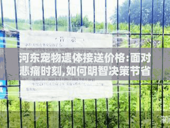 河东宠物遗体接送价格:面对悲痛时刻,如何明智决策节省开支?