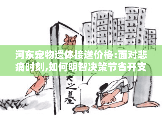 河东宠物遗体接送价格:面对悲痛时刻,如何明智决策节省开支?