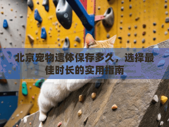 北京宠物遗体保存多久，选择最佳时长的实用指南