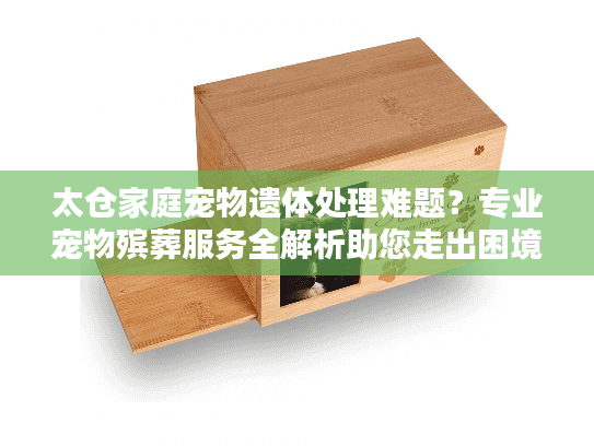 太仓家庭宠物遗体处理难题？专业宠物殡葬服务全解析助您走出困境