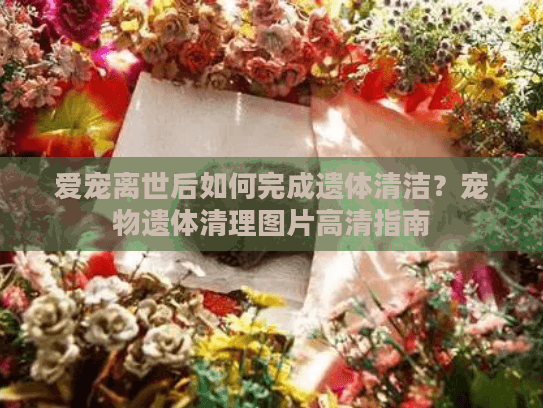 爱宠离世后如何完成遗体清洁？宠物遗体清理图片高清指南