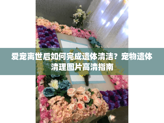 爱宠离世后如何完成遗体清洁？宠物遗体清理图片高清指南