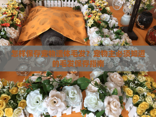 怎样保存宠物遗体毛发?宠物主必须知道的毛发保存指南 怎样保存宠物遗体毛发?宠物主必须知道的毛发保存指南