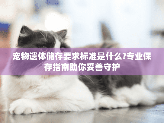 宠物遗体储存要求标准是什么?专业保存指南助你妥善守护