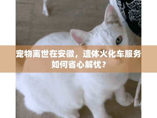 宠物离世在安徽,遗体火化车服务如何省心解忧? 宠物离世在安徽,遗体火化车服务如何省心解忧?