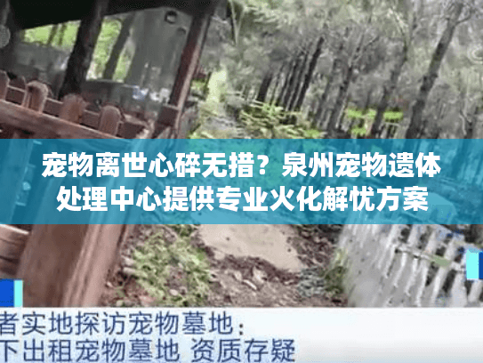 宠物离世心碎无措？泉州宠物遗体处理中心提供专业火化解忧方案