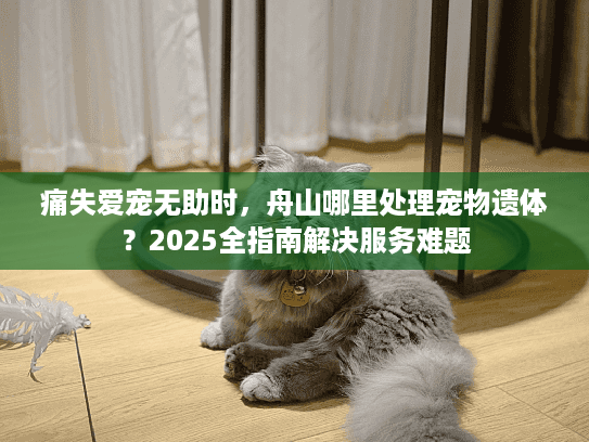 痛失爱宠无助时，舟山哪里处理宠物遗体？2025全指南解决服务难题