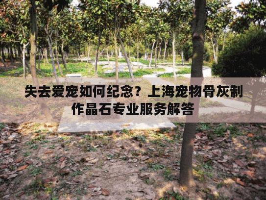 失去爱宠如何纪念？上海宠物骨灰制作晶石专业服务解答