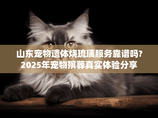 山东宠物遗体烧琉璃服务靠谱吗?2025年宠物殡葬真实体验分享