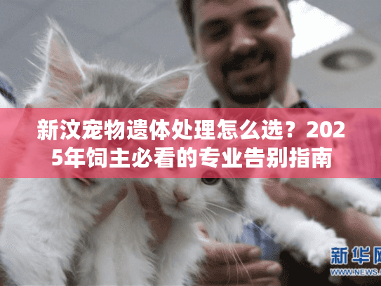 新汶宠物遗体处理怎么选？2025年饲主必看的专业告别指南