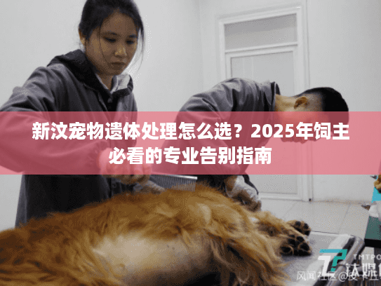 新汶宠物遗体处理怎么选？2025年饲主必看的专业告别指南
