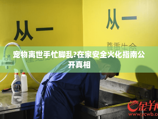 宠物离世手忙脚乱?在家安全火化指南公开真相