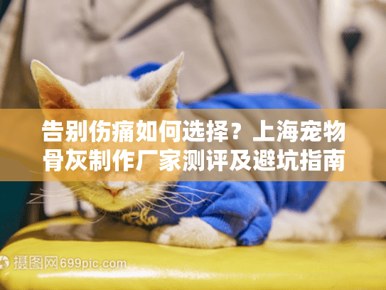 告别伤痛如何选择？上海宠物骨灰制作厂家测评及避坑指南