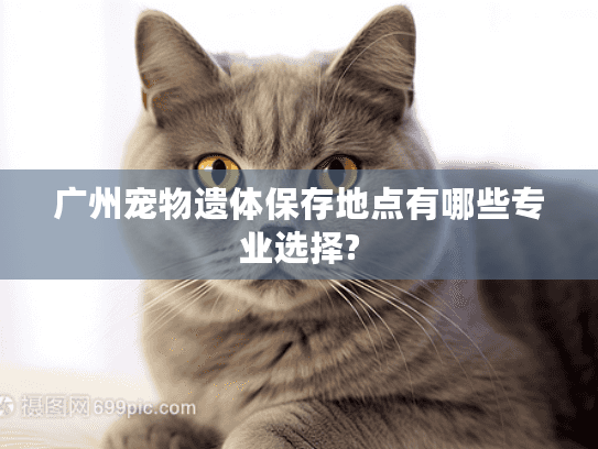 广州宠物遗体保存地点有哪些专业选择?