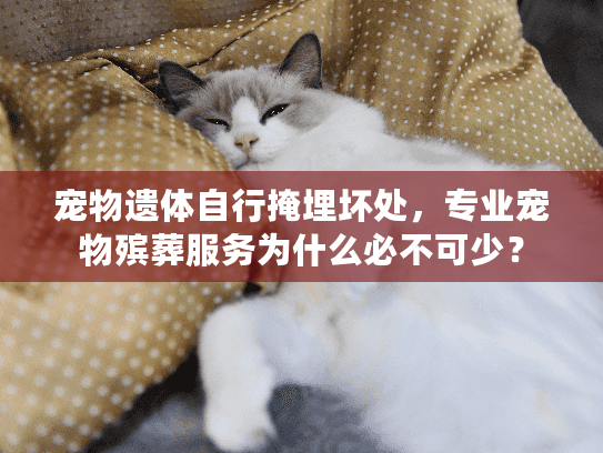 宠物遗体自行掩埋坏处，专业宠物殡葬服务为什么必不可少？