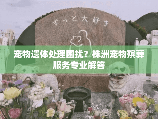 宠物遗体处理困扰？株洲宠物殡葬服务专业解答