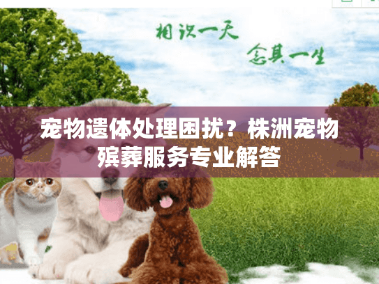 宠物遗体处理困扰？株洲宠物殡葬服务专业解答