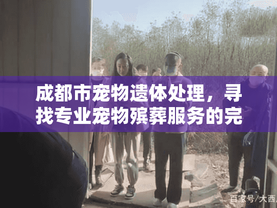 成都市宠物遗体处理，寻找专业宠物殡葬服务的完整指南