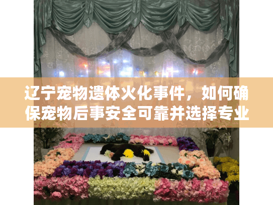 辽宁宠物遗体火化事件，如何确保宠物后事安全可靠并选择专业服务？