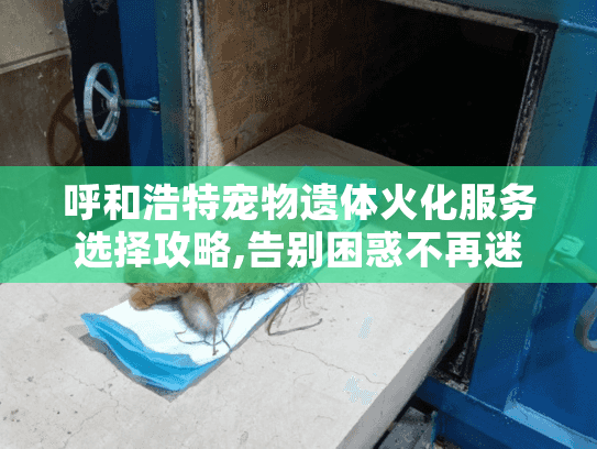 呼和浩特宠物遗体火化服务选择攻略,告别困惑不再迷茫