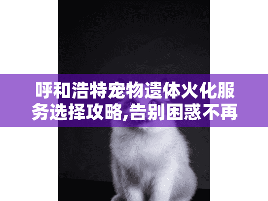 呼和浩特宠物遗体火化服务选择攻略,告别困惑不再迷茫