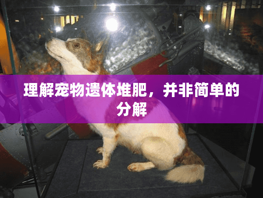 理解宠物遗体堆肥，并非简单的分解