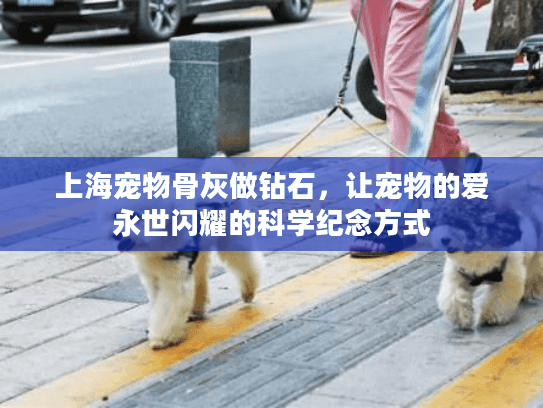 上海宠物骨灰做钻石，让宠物的爱永世闪耀的科学纪念方式