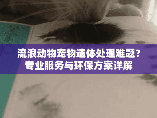 流浪动物宠物遗体处理难题？专业服务与环保方案详解