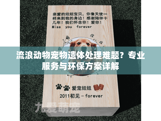 流浪动物宠物遗体处理难题？专业服务与环保方案详解