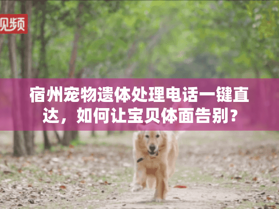 宿州宠物遗体处理电话一键直达，如何让宝贝体面告别？