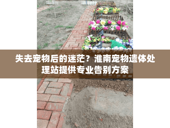 失去宠物后的迷茫？淮南宠物遗体处理站提供专业告别方案