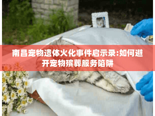 南昌宠物遗体火化事件启示录:如何避开宠物殡葬服务陷阱
