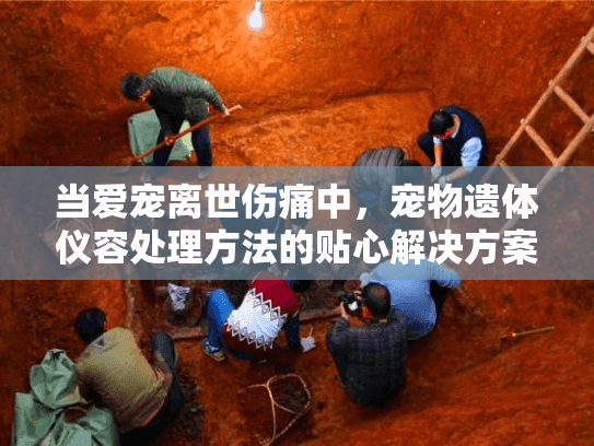 当爱宠离世伤痛中，宠物遗体仪容处理方法的贴心解决方案