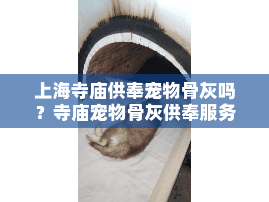 上海寺庙供奉宠物骨灰吗？寺庙宠物骨灰供奉服务解析