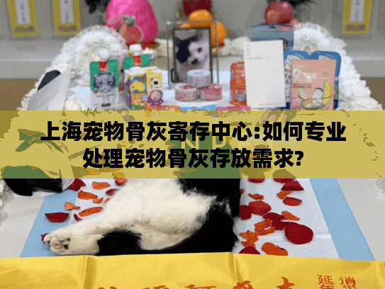 上海宠物骨灰寄存中心:如何专业处理宠物骨灰存放需求?