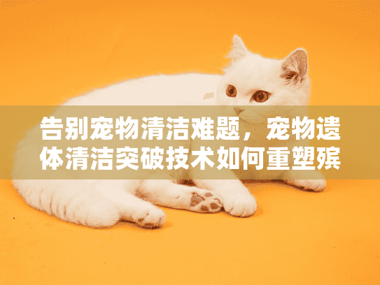 告别宠物清洁难题，宠物遗体清洁突破技术如何重塑殡葬服务