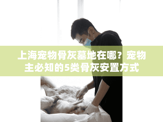上海宠物骨灰墓地在哪？宠物主必知的5类骨灰安置方式
