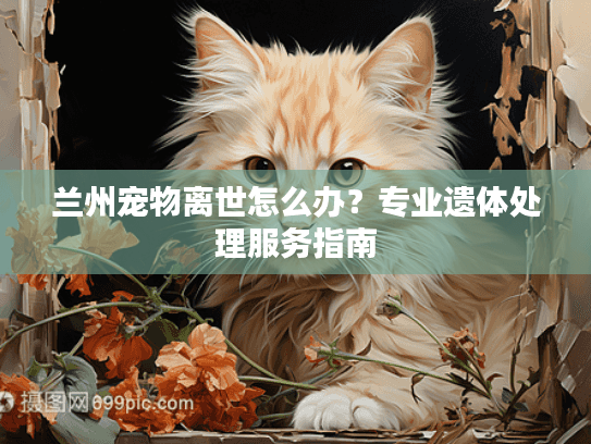 兰州宠物离世怎么办？专业遗体处理服务指南