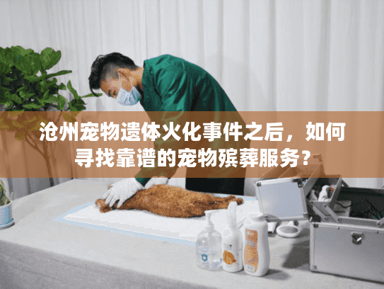 沧州宠物遗体火化事件之后，如何寻找靠谱的宠物殡葬服务？
