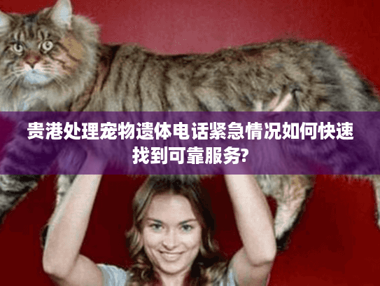 贵港处理宠物遗体电话紧急情况如何快速找到可靠服务?