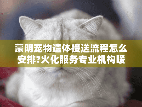 蒙阴宠物遗体接送流程怎么安排?火化服务专业机构暖心指南