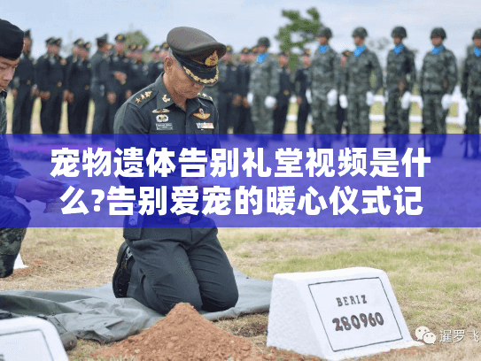 宠物遗体告别礼堂视频是什么?告别爱宠的暖心仪式记录与选择指南