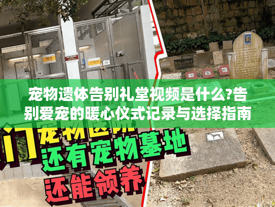 宠物遗体告别礼堂视频是什么?告别爱宠的暖心仪式记录与选择指南