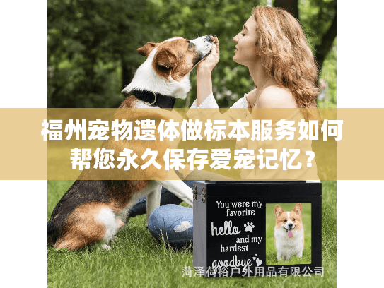 福州宠物遗体做标本服务如何帮您永久保存爱宠记忆？
