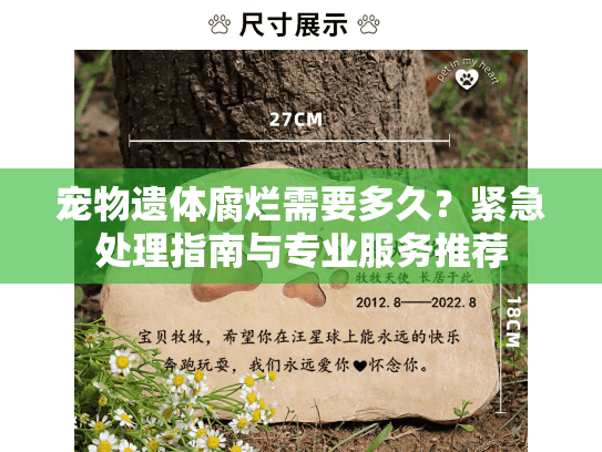 宠物遗体腐烂需要多久？紧急处理指南与专业服务推荐