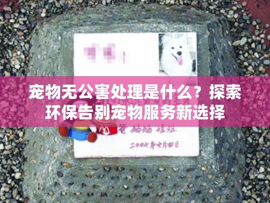 宠物无公害处理是什么？探索环保告别宠物服务新选择