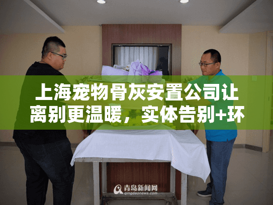 上海宠物骨灰安置公司让离别更温暖，实体告别+环保安葬的完整指南