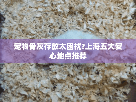宠物骨灰存放太困扰?上海五大安心地点推荐